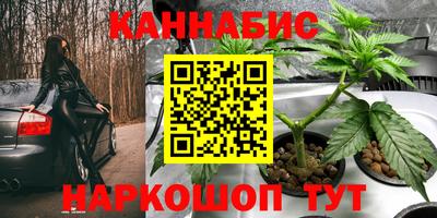 прущие крисы Конаково
