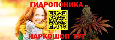прущие крисы Конаково