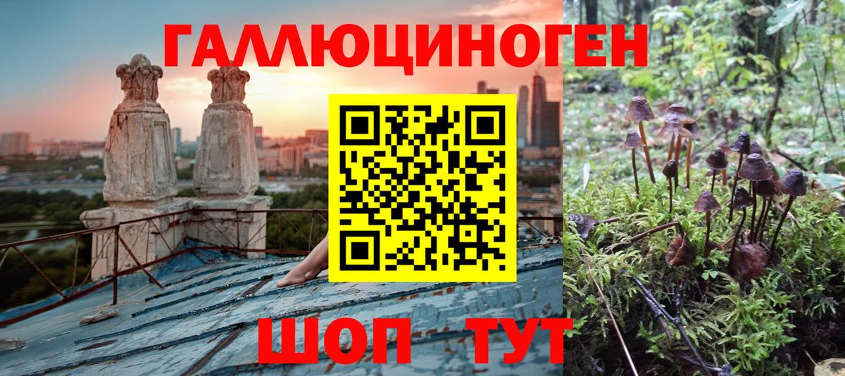Галлюциногенные грибы Magic Shrooms Канаш