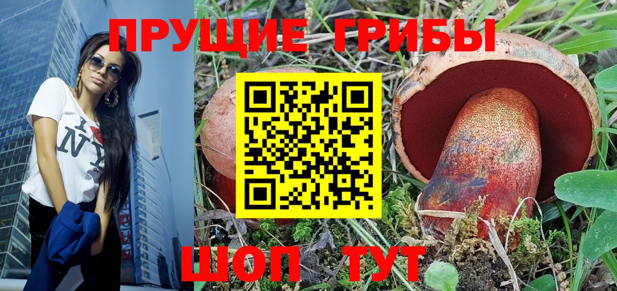 Канаш  Псилоцибиновые грибы прущие грибы  Вход с VPN 