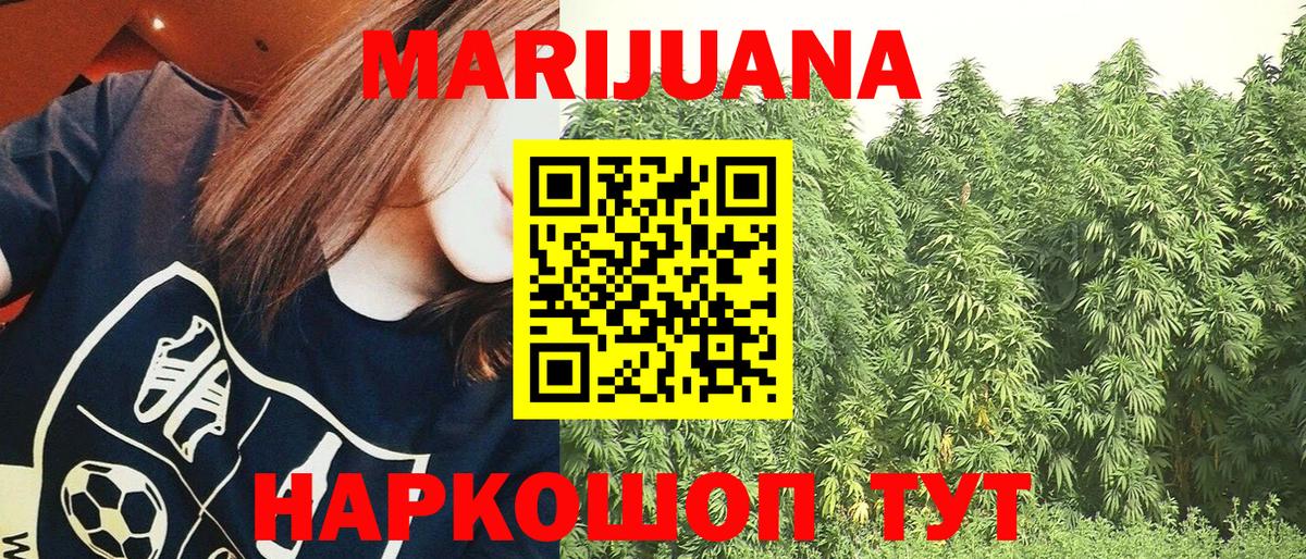 Бошки Шишки ГИДРОПОН Канаш